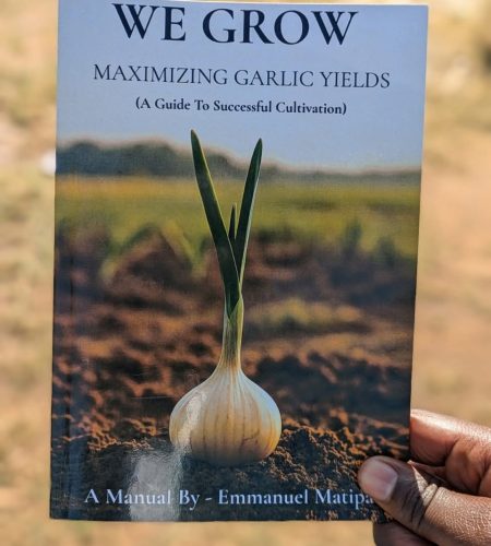 515436250_1209097664569869_7894331927564143147_n