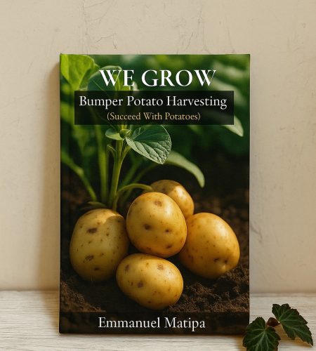 WhatsApp Image 2025-08-09 at 20.06.34 (4)